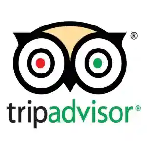 trip-advisor-logo